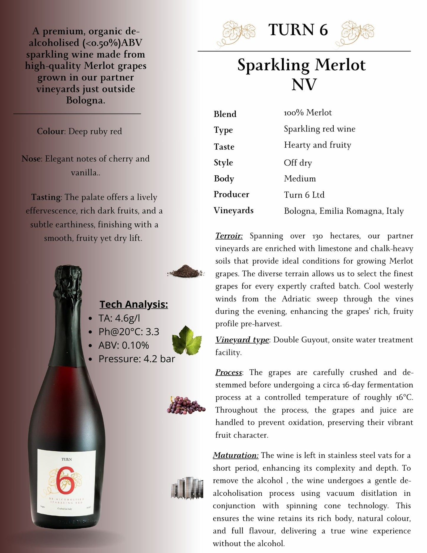 Alcohol-Free Sparkling Red Wine